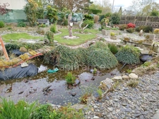 EXCLUSIVITE -PLEVIN- Charmante maison de 4 pièces sur sous-sol surélevé avec grand jardin arboré/paysager et plusieurs dépendances 