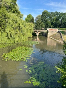 Grenier brut à aménager – Vue exceptionnelle à Rogny-les-Sept-Écluses (89)