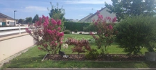 Maison à vendre 5 pièces BLENEAU (89)