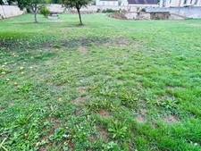 🌿 Très beau terrain à bâtir 2400 m² – Bléneau (89220)
