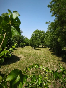 Terrain à vendre – Proche centre de Bléneau  BLENEAU (89)