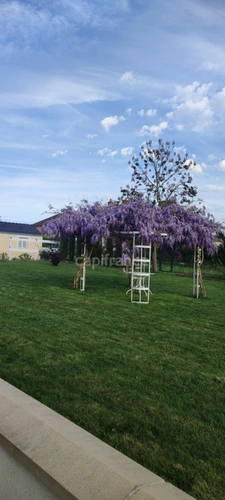 Maison à vendre 5 pièces BLENEAU (89)