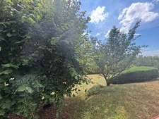 Maison à vendre 6 pièces BLENEAU (89)
