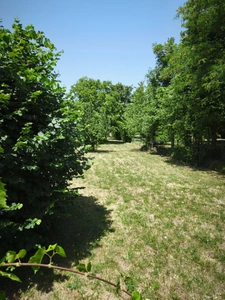 Terrain à vendre – Proche centre de Bléneau  BLENEAU (89)