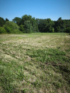 Terrain à vendre de 2 728,00 m² ROGNY LES SEPT ECLUSES (89)