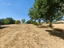 Terrain constructible de 2 700 m² avec vue dominante – À 3 min de Cologne (32)