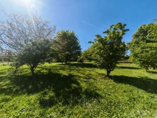 Maison à vendre 5/6 pièces à Cadours de 115m² (31) 