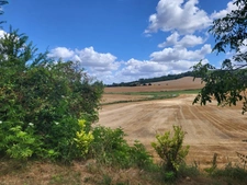 Maison écologique avec piscine Type 5 de 150 m² habitables – Terrain de 3 000 m² (à 5 min de LOMBEZ)