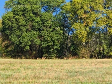 Terrain à vendre Viabilisé à Ségoufielle de 704m²   (32)