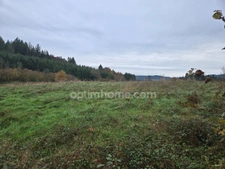 Terrain de Loisirs ou Agricole à vendre de 2 911,00 m² GIBLES (71)