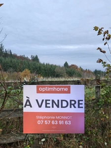 Terrain de Loisirs ou Agricole à vendre de 2 911,00 m² GIBLES (71)