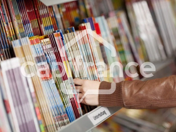 A vendre Presse Jeux secteur SAINT BRIEUC (22)