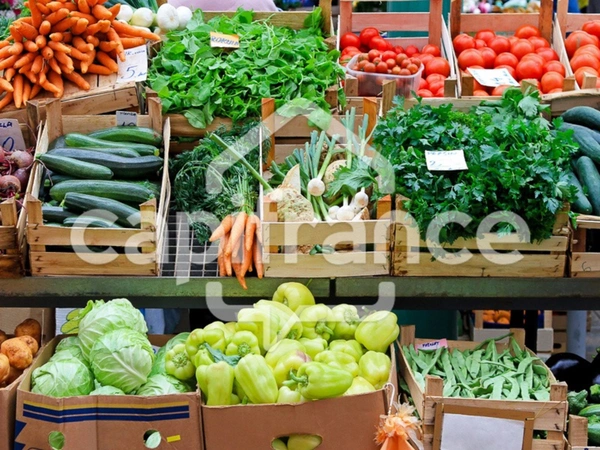 Dpt Ille et Vilaine (35), à vendre proche de RENNES Primeur - Epicerie 