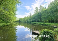 ETANG  à Craon