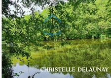ETANG  à Craon
