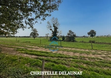 🏡 Maison au charme de la pierre et du bois – 110 m² La Pallu