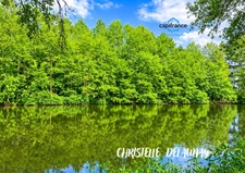 ETANG  à Craon