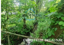 ETANG  à Craon