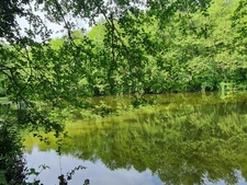 ETANG  à Craon