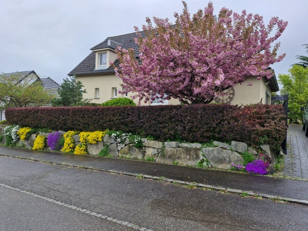 Entre théâtre et art de vivre