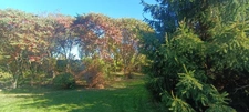 A vendre LIMEYRAT (24), maison de 172 m2 sur un terrain de 2300 m2.