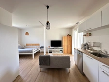 Périgord: House built in 2018, 7 rooms, VALOJOULX (24)