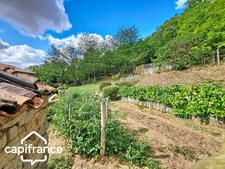 House – 91 m² (980 sq ft) – 3 Bedrooms – Garage and Outbuildings – 2,989 m² (0.74-acre) Plot – Thouars