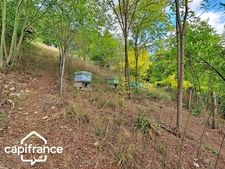 House – 91 m² (980 sq ft) – 3 Bedrooms – Garage and Outbuildings – 2,989 m² (0.74-acre) Plot – Thouars