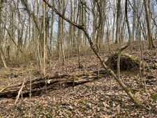 Dpt Moselle (57), à vendre MALROY terrain 