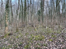 Dpt Moselle (57), à vendre MALROY terrain 