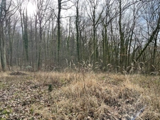 Dpt Moselle (57), à vendre MALROY terrain 