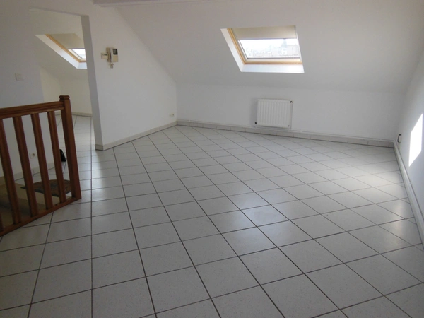 Appartement à louer 1 pièces NANCY (54)