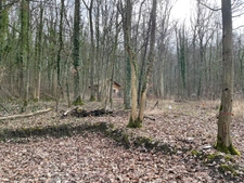 Dpt Moselle (57), à vendre MALROY terrain 