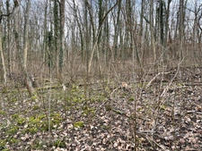 Dpt Moselle (57), à vendre MALROY terrain 