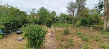 🏡 ARRAS – MAISON DE VILLE À FORT POTENTIEL AVEC DÉPENDANCE, COUR ET JARDIN
