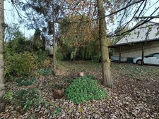 🏡 Maison de plain-pied à vendre sur la commune de Ruitz : viager occupé sans rente