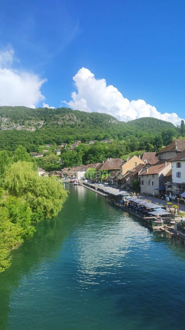 🏡 CHANAZ – Propriété de caractère en bord de canal – 4 logements indépendants – 289 m² habitables sur 5 800 m² de terrain boisé Ensemble Immobilier Unique CHANAZ 