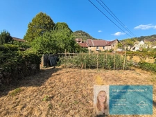 Ensemble immobilier rénové avec jardin, dépendances et potentiel – Centre de Conliège