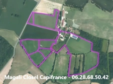 Magnifique propriété sur env 15 hectares avec gite proche Saint Germain du Bois