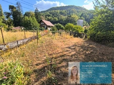 Ensemble immobilier rénové avec jardin, dépendances et potentiel – Centre de Conliège