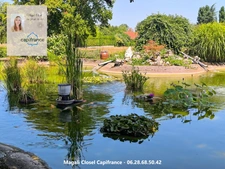 Maison à vendre 8 pièces avec Bassin et piscine. Pierre de Bresse