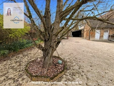 Charmante maison de village avec 4 chambres et jardin arboré 