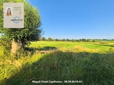 Bel ensemble immobilier de caractère sur près de 3 hectares. Maison, dépendances et Boxs à chevaux