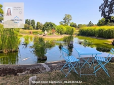 Maison à vendre 8 pièces avec Bassin et piscine. Pierre de Bresse