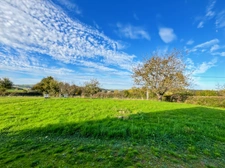 Maison à vendre proche ST BONNET DE JOUX (71) 138 m² - 5200 m² de jardin