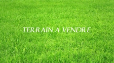 Terrain constructible à vendre Marnaz (74)