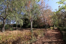 ENSEMBLE IMMOBILIER RARE AVEC MAISON, GÎTE ET 3 700 M² DE TERRAIN