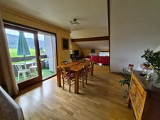 Appartement à vendre T3 bis DOUVAINE (74)