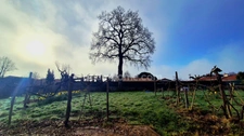 🏡 Corps de ferme en pierre 215 m² – Toitures neuves – Terrain 1 712 m² à St-Julien-des-Landes (85)