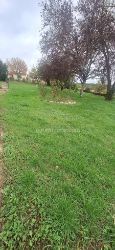 Maison 100m2 à vendre 5 pièces CHAUVIGNY (86)